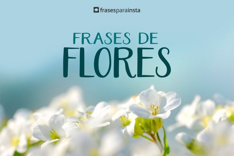 Frases de Flores para Foto Sozinha