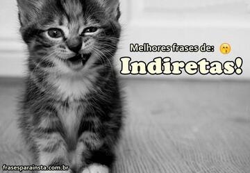 Top 233  Indiretas - Frases de Indiretas