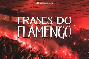 Frases do Flamengo para demonstrar o Orgulho em ser Flamenguista